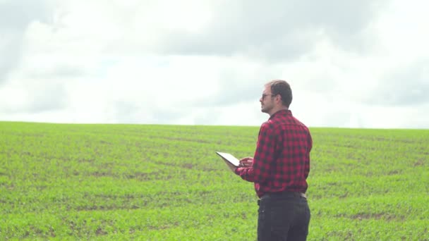 Фермер перевіряє ріст гороху. Свіже зелене горіхове поле. Цифровий планшет у руці чоловіка. Вид ззаду — стокове відео