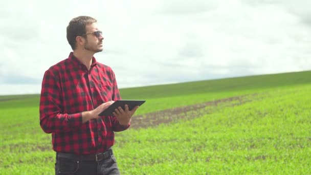 Farmář používá tablet na sójovém poli. Čerstvě zelené hráškové pole — Stock video