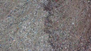 Şehir çöplüğü. Ekoloji kirliliği kavramı. Kocaman bir çöp yığını. Kuşlar çöpün üzerinde daireler çiziyor