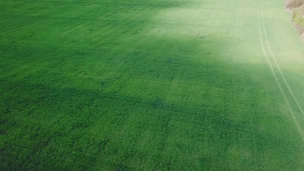 Вид с воздуха на поля, сою, пшеницу, кукурузу — стоковое видео