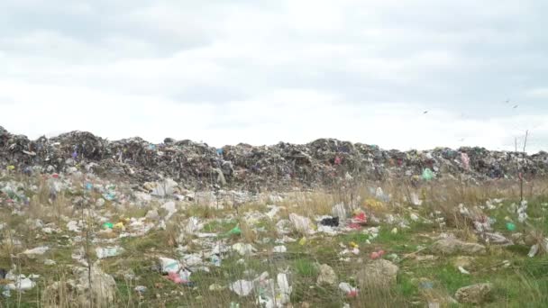 Stadsvuilnisbelt. Een enorme vuilnisbelt. Vogels cirkelen over het vuilnis. — Stockvideo