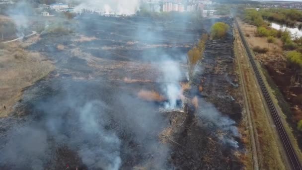 Pompier dans l'équipement éteindre un incendie de forêt avec un tuyau d'incendie