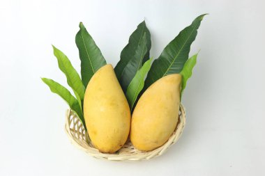 Mango ve yaprak sepette beyaz arka plan üzerinde kapalı