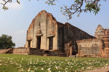 Tayland Tarih Parkı Lopburi, eski bina, Filed under yeşil ağaç ile gövde ve ön.
