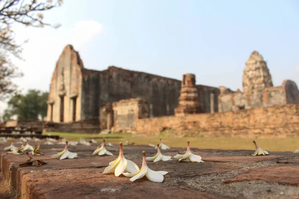 Historický park Thajsko Lopburi, starověké building.blurred a keře pokles v popředí — Stock fotografie