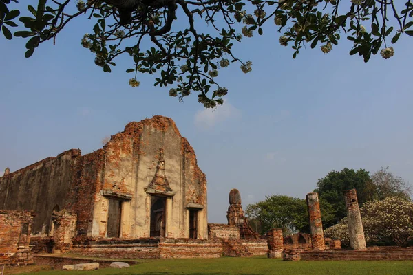 Thailand historische park Lopburi, oude gebouw, normaal bekijken met boom frame. — Stockfoto