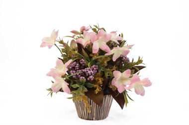 Seramik sepette beyaz background.with iş yolu üzerinde küçük ağaç izole.