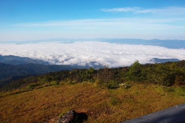 Tayland, Chiangmai, doi Inthanon Milli parkta yolculuk hayatı. Sis Denizi dağın tepesinde. Olağanüstü sis formu doğal.