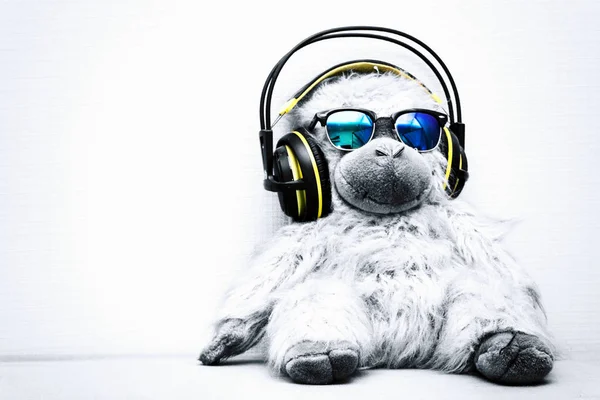 Concept Dance Monkey Listening Music Headphones Wearing Sunglasses — Stock Photo, Image