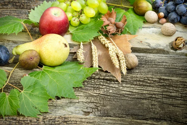 Органічні сезонні осінні плоди на сільському дерев'яному столі — стокове фото