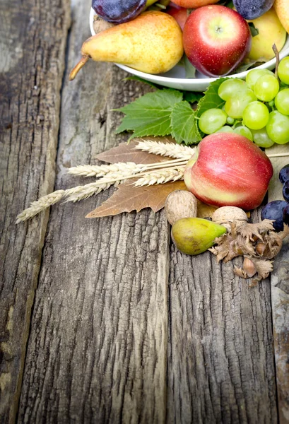 Herbst-Bio-Obst auf rustikalem Holztisch — Stockfoto