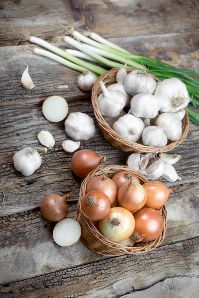 Cipolla biologica, aglio e cipollotto in tavola — Foto Stock