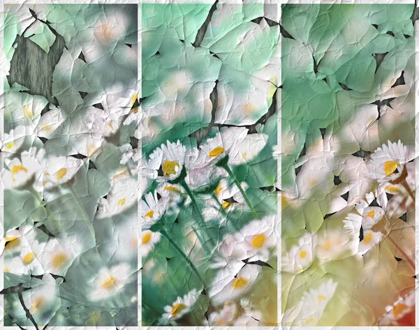 Fiori di margherita realizzati con la tecnica della carta rugosa — Foto Stock