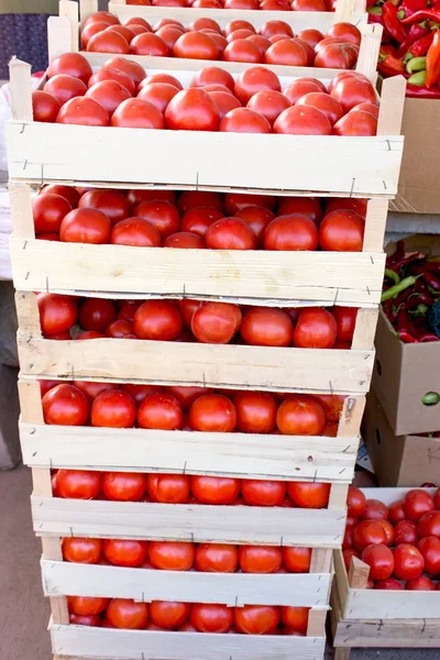 Tomate orgânico em caixas no mercado do agricultor pronto para venda — Fotografia de Stock