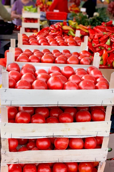 Frische Bio-Tomate in Kisten auf Bauernmarkt — Stockfoto