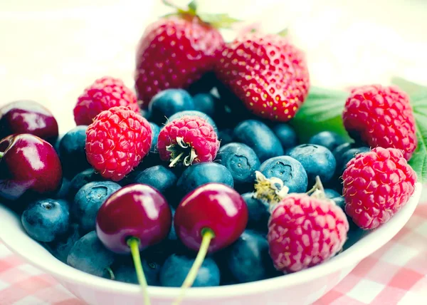 Fresh organic berry fruits - strong antioxidant — Stock Photo, Image