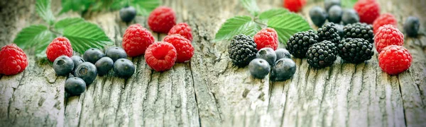 Dieta saludable con frutas del bosque - bayas — Foto de Stock