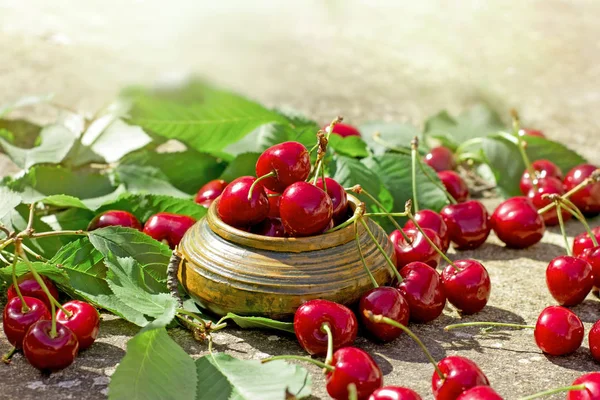 Organic sweet cherry in rustic bowl — Stock Photo, Image