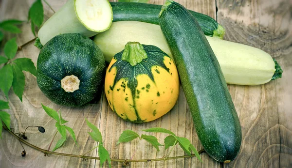 Fresh organic zucchini, marrow squash and pumpkin