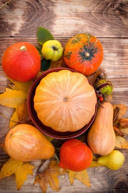 Masada - Şükran, mevsimlik meyve ve sebze, kabak hasat ve squash