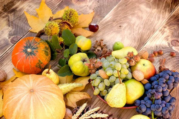 Frutas e produtos hortícolas orgânicos sazonais - colheita de Outono rica — Fotografia de Stock