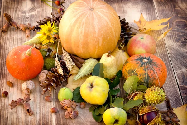 Cosecha de otoño, frutas y verduras de temporada - alimentación saludable, comida saludable — Foto de Stock