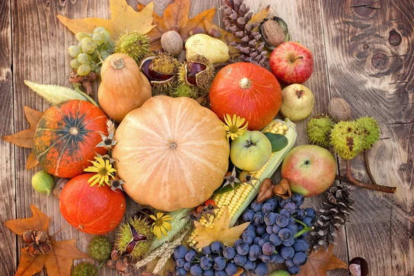 Gesunde saisonale Lebensmittel (biologisches Obst und Gemüse) — Stockfoto