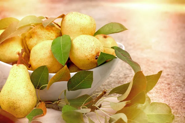 Sweet yellow pears in white bowl — Stock Photo, Image