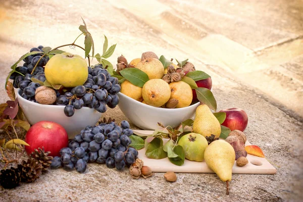 Gesunde saisonale Lebensmittel, frisches, schmackhaftes Bio-Obst im Herbst — Stockfoto