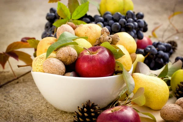 Fruta orgánica de otoño fresca y de buen gusto en un tazón: comida saludable de temporada —  Fotos de Stock