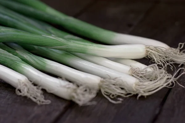 Onion, young omion, spring onion closeup - healthy food
