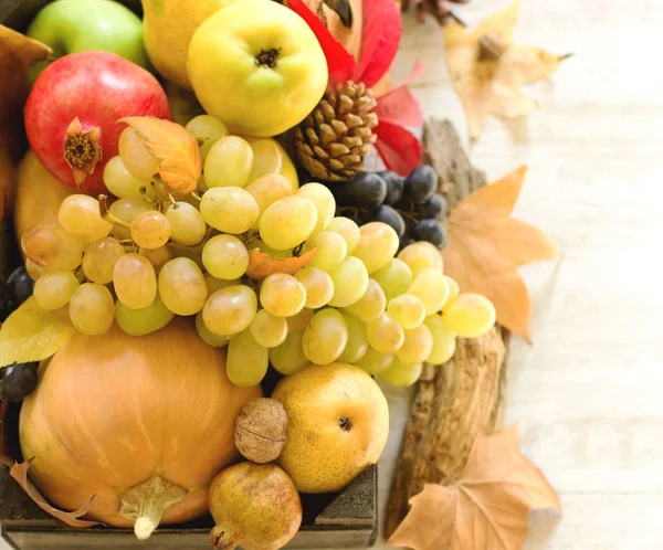 Seasonal Organic Fruit Vegetable Crate Closeup — 스톡 사진