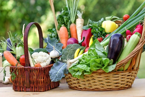 Hälsosam Mat Hälsosam Kost Bygger Färska Ekologiska Grönsaker — Stockfoto