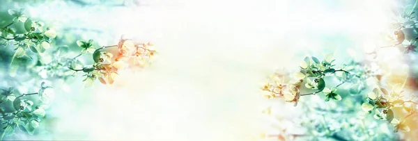 Молоде Весняне Листя Гілці Пробудження Природи Навесні — стокове фото