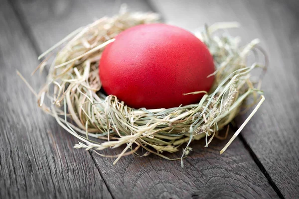 Easter egg in nest, red egg is symbol of life and faith