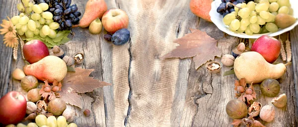 乡村式 季节性 秋季有机水果上的健康食品 — 图库照片