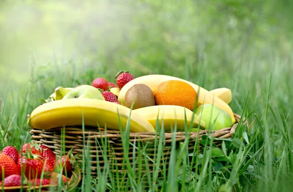 Ekologické Ovoce Košíku Jarní Trávě Zdravé Vegetariánské Jídlo — Stock fotografie