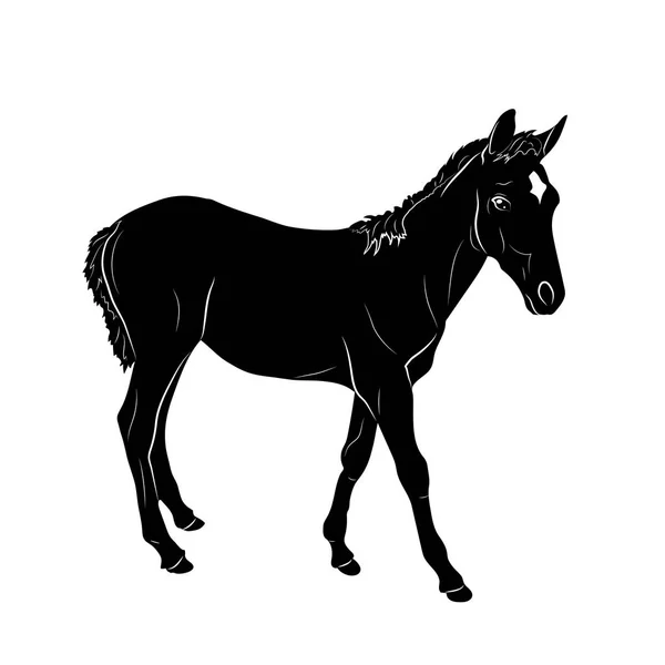 Silhouette Dessin Vectoriel Cheval — Image vectorielle