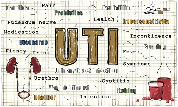 Infección del tracto urinario ilustración —  Fotos de Stock
