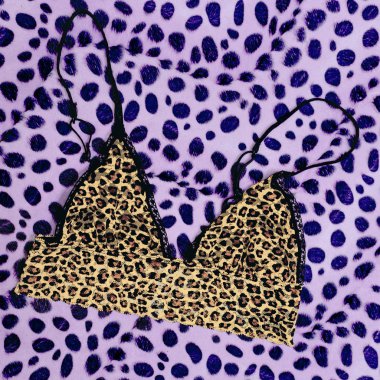 Şık iç çamaşırı. Moda kavramı. Hayvan yazdırma. Leopar sütyen 