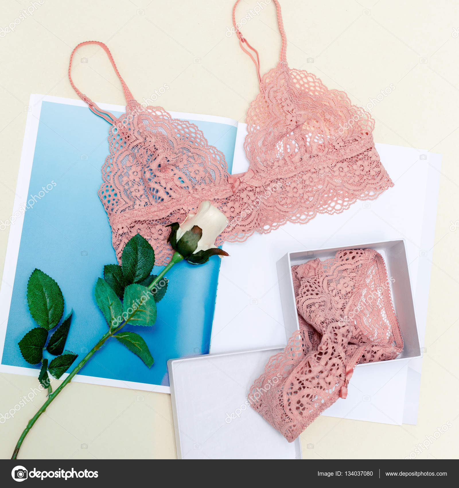 Trendy underwear. Stylish lace. Gift box. Minimal design. fashio Stock  Photo by ©Porechenskaya 134037080