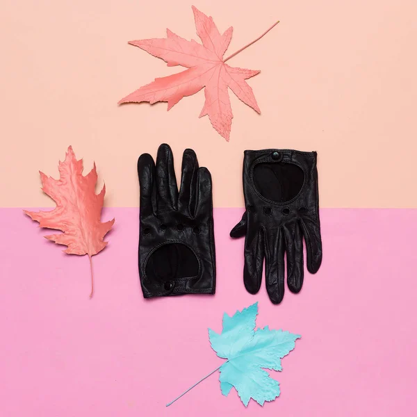 Fashionable leather gloves Spring vibration. Concept Minimal des — Stock Photo, Image