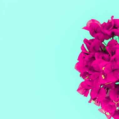 Tropik çiçekler fuşya. En az Tasarım sanat