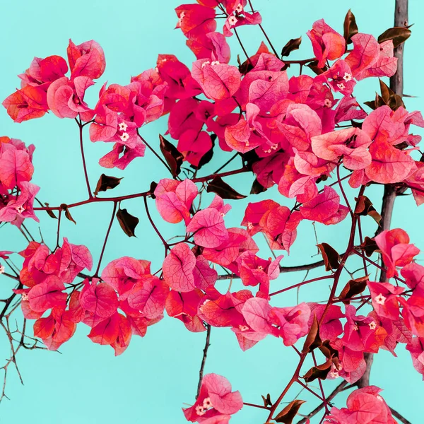 Spring Flowerin minimal kunst - Stock-foto