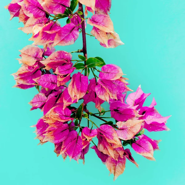 Tropical flowers. Minimal art design Fuchsia