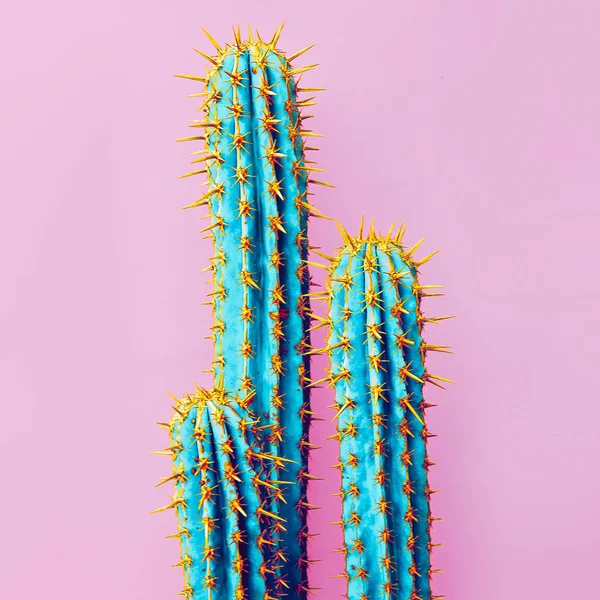 Nastavit Neon kaktus. Minimální kreativní stillife — Stock fotografie