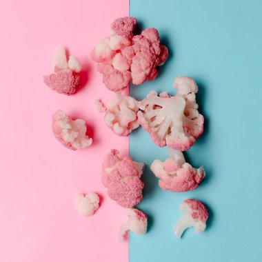 Lahana Minimal vegan sanat