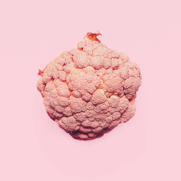 Cabbage in pink paint Surreal minimal ar — Stock Photo, Image