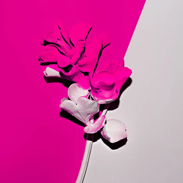 Blomma i paint. Konstdesign Minimal kreativa surrealistiskt — Stockfoto