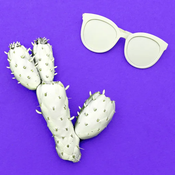 Cactus et lunettes de soleil. Accessoire de mode été lumineux — Photo